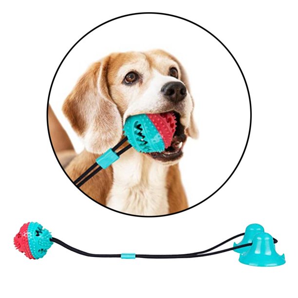 Juguetes Para Perros con ventosa, pelota interactiva para perros