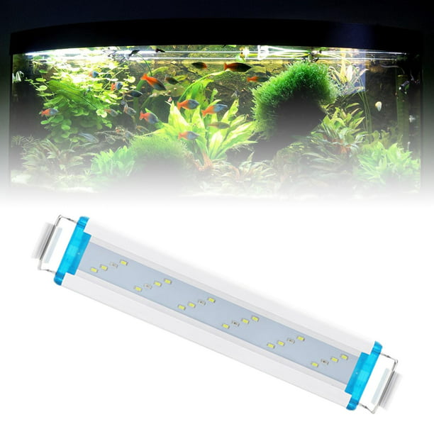 Luz LED Para Acuario Extensible Para , Completo UE 30cm 6W Los 30cm 6W  Yuyangstore luz de acuario