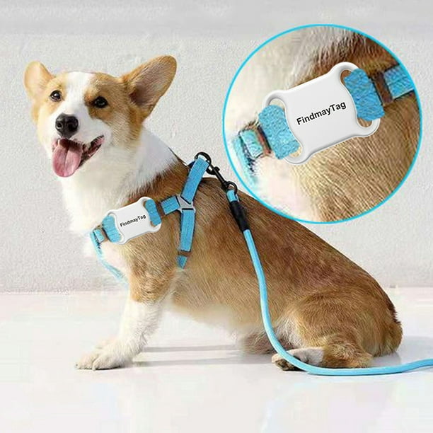 Zeerkeer Rastreador GPS para mascotas, rastreador GPS para perros y  buscador de mascotas, impermeable, localización y actividad, collar para  perros