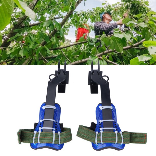 DFGENLY Presas Escalada Niños para Árboles, Portátil Cuerda para Trepar  Árboles con 18 Agarres de Escalada y 6 Correas de Trinquete para Ninja