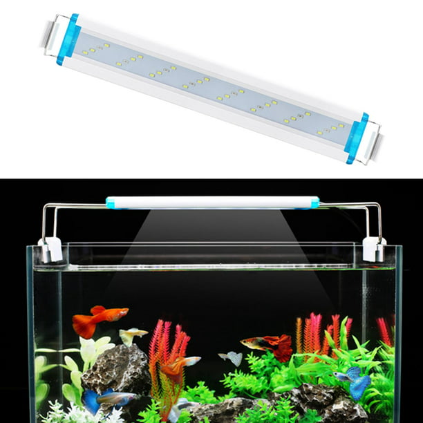 MingDak Luz LED para acuario, luz para pecera, 24 LED, clip en  color de iluminación de pecera con blanco y azul : Productos para Animales