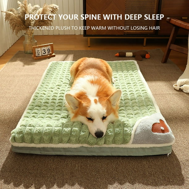 Colchoneta para dormir para mascotas, cama plegable para perros y gatos,  desmontable, gruesa, suave (verde aguacate), Colchonetas Para Dormir