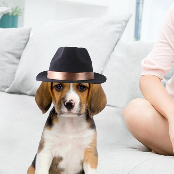 Sombreros De Para Mascotas, Ropa Para Perros Y , Sombreros Para Gloria Sombrero de vaquero para mascotas | Bodega Aurrera en línea