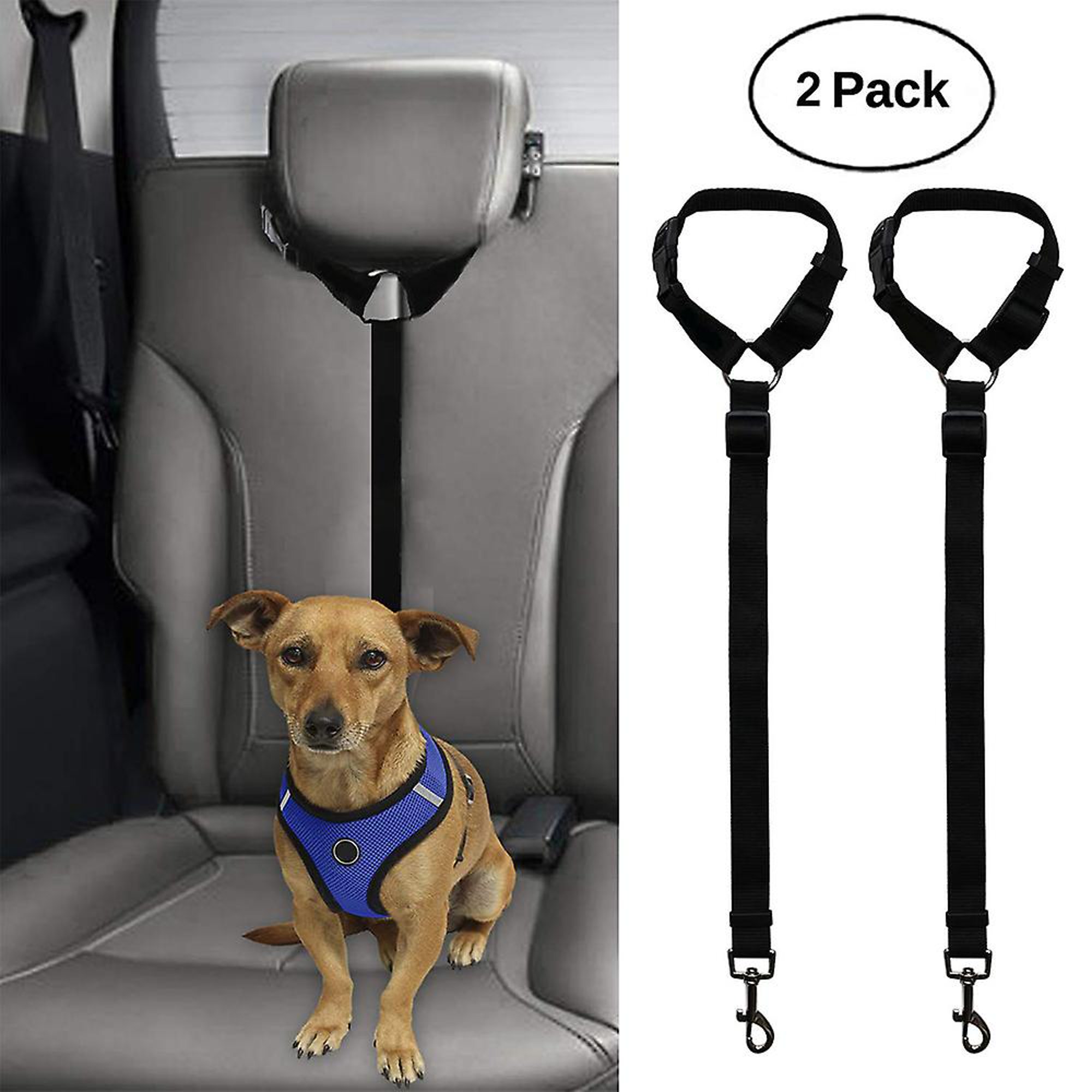  Cinturón de seguridad para perros y gatos, cinturón de  seguridad para automóvil, paquete de 2, cinturones de arnés ajustables,  correa para mascotas, cinturones de seguridad de nailon resistente, :  Productos para