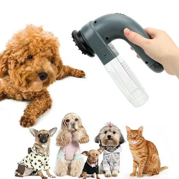 Succionador de pelo eléctrico para mascotas, aspiradora portátil 3 en 1  para masaje, iluminación de depilación, succión para mascotas, pantalla  inteligente de 12000Pa - AliExpress