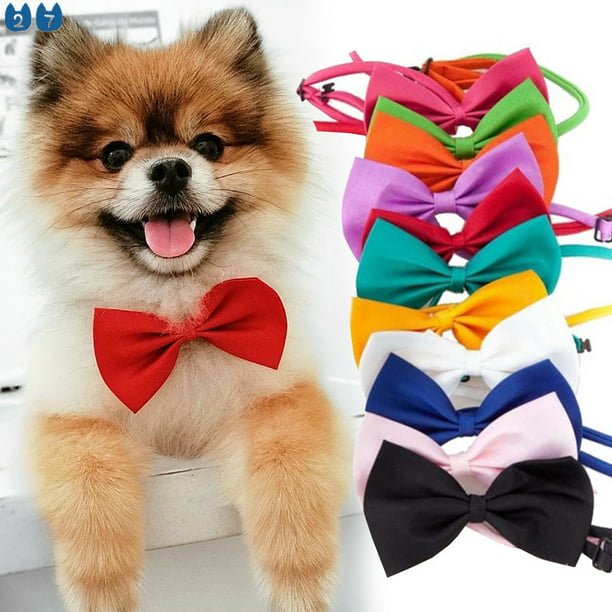 Collar ajustable para mascotas perro gato correa ajustable para gatos  accesorios para perros mascotas perro pajarita cachorro lazos perro  mascotas