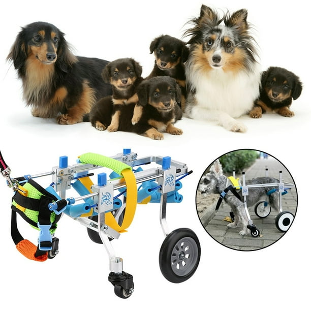  Silla de ruedas para perro, carrito ajustable para mascotas,  silla de ruedas ajustable para perros con cuatro ruedas para rehabilitación  de piernas, carrito de rehabilitación paralizado para mascotas, : Productos  para