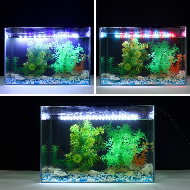 Pssopp Luz LED para acuario, luz de acuario con pantalla de acrílico  transparente, tres colores diferentes, luz LED para pecera, luz LED que  cambia de