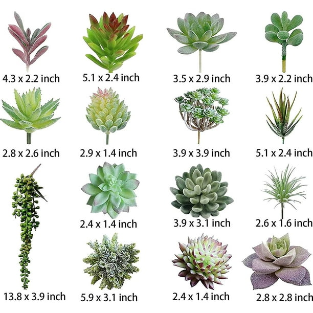 16 paquetes de plantas suculentas artificiales, plantas artificiales sin  maceta, plantas falsas suculentas, plantas suculentas de imitación, plantas  de cactus de imitación a granel, mini realista