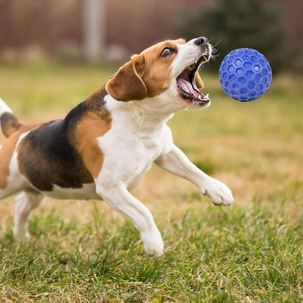Pelotas para perros para masticadores agresivos, mini pelotas de tenis para  perros de raza pequeña, pelotas flotantes indestructibles para perros