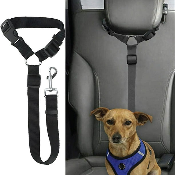 Cinturón de seguridad para coche para perros, correa ajustable para  vehículo, Collar, accesorios par Likrtyny