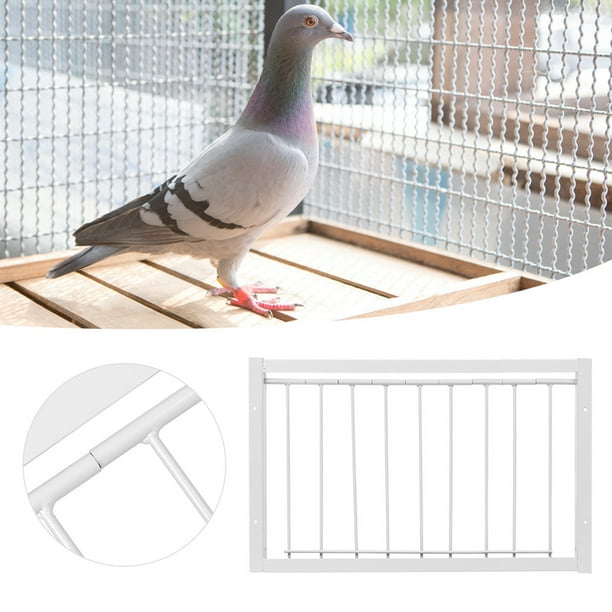 Bird Housettrap, jaulas de hierro para pájaros, trampa para pájaros, puerta  de casa, jaula para pája VoborMX