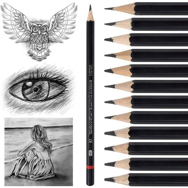 ✓ ¿Cuáles son los mejores lápices de colores para principiantes y  profesionales? 