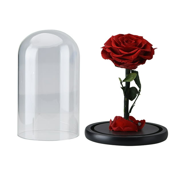 Paquete de caja de regalo de rosas eternas, rosas reales preservadas hechas  a mano en cúpula de cristal Beauty and The Beast Rose para aniversario