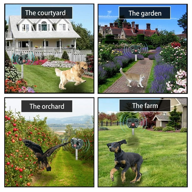 Ahuyentador de gatos ultrasónico, 5 modos, con sensor de movimiento y luz  intermitente, dispositivo de exterior para granja, jardín, patio, perros,  gatos, pájaros y más: : Jardín