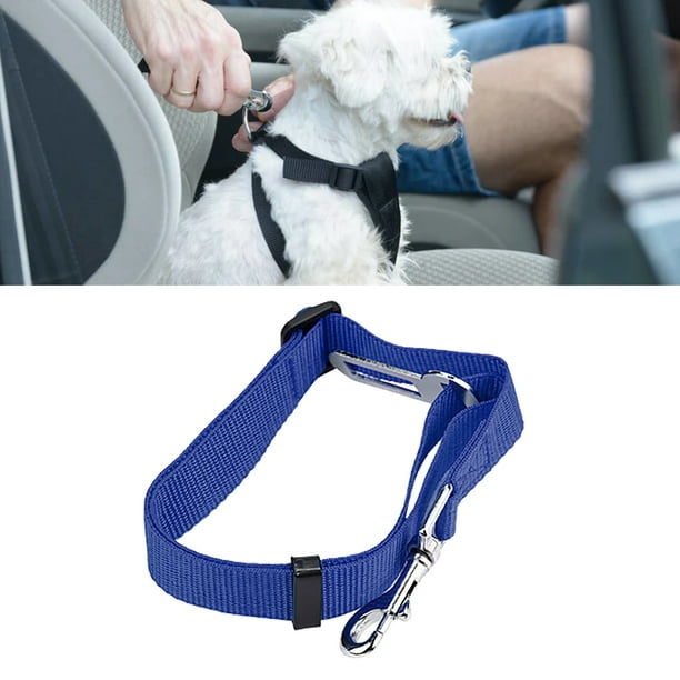 Olodeer Cinturón de seguridad ajustable para perro, cinturón de seguridad  retráctil elástico para perro, accesorios de viaje en coche para perros con