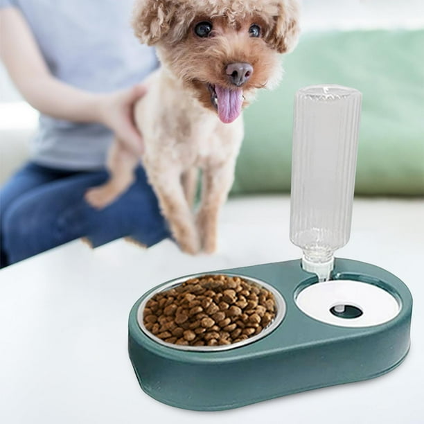 Dispensador de Agua y Plato de Comida para Perros y Gatos – Tienda