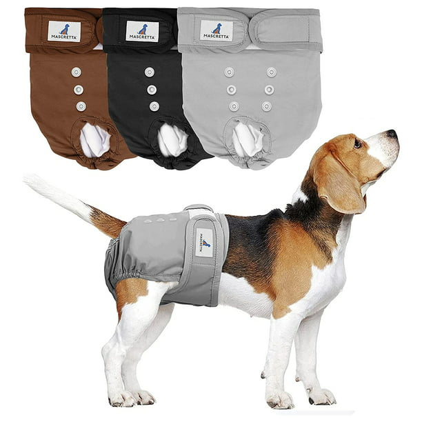 CuteBone Pañales para perras, paquete de 3 pañales reutilizables para  cachorros, con un tirante para el período del perro, BDD01S
