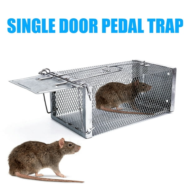 Ratón de metal Ratones Trampa para ratas Trampa para el control del  asesino-Herramienta fácil para atrapar plagas Likrtyny 5jd6ew8kl0qz6sn2