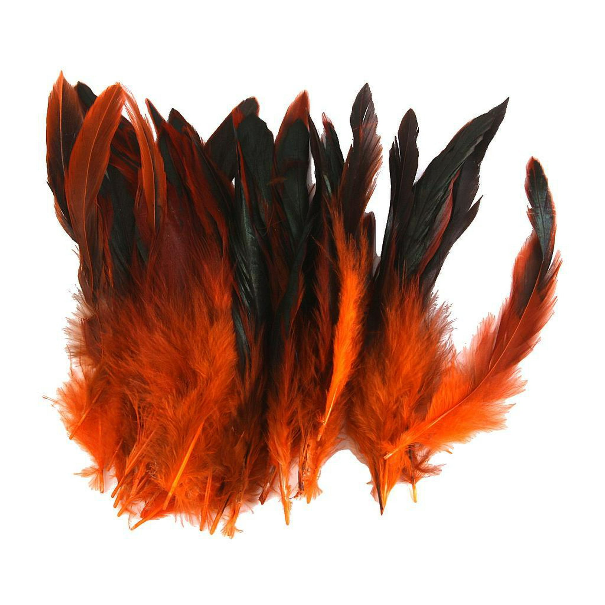 20 plumas rojas, plumas de cola de coque de gallo de 9.8 a 11.8 pulgadas,  plumas de gallo naturales para centros de mesa, plumas decorativas