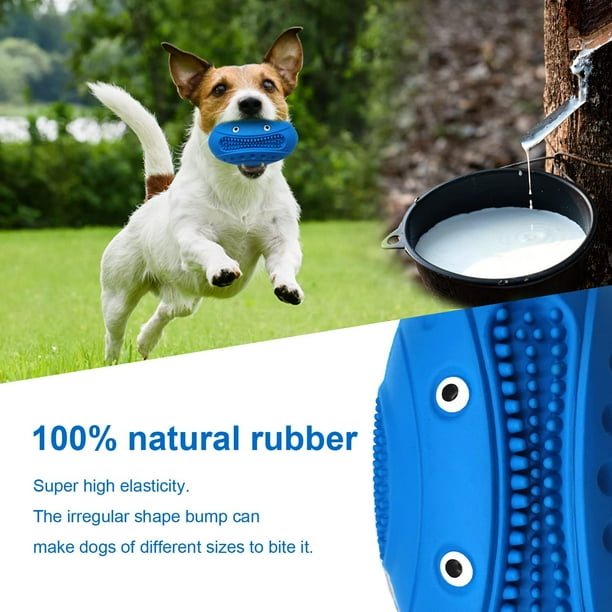 Juguete indestructible para perros, juguete interactivo para masticar perros  grandes, juguete para perros con chirriador de