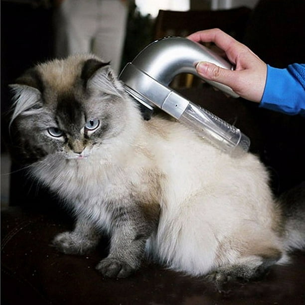 Aspirador de pelo eléctrico para mascotas Aspirador de limpieza de masaje  para mascotas Pegamento para el pelo de mascotas Cepillo depilatorio,  Longitud: 19 cm Ancho: 11 cm Altura: 6cm JAMW Sencillez