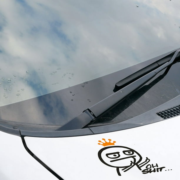Limpiaparabrisas trasero negro para parabrisas de coche protección