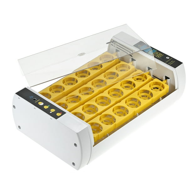 Simular Andes Espantar Incubadora automática de huevos con control de la temperatura de la  incubadora de huevos de Eccomum Incubadora | Walmart en línea