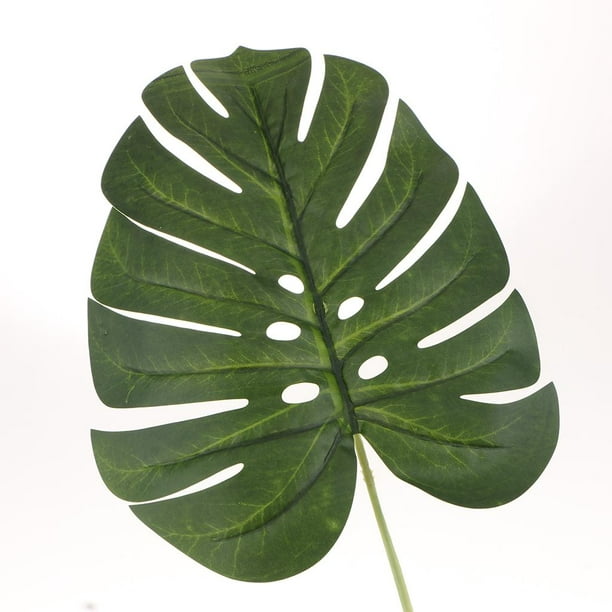 KIMOBER 24 hojas artificiales de palma, hojas de Monstera tropicales de  color verde de tamaño mixto, hojas de plantas artificiales realistas para  el