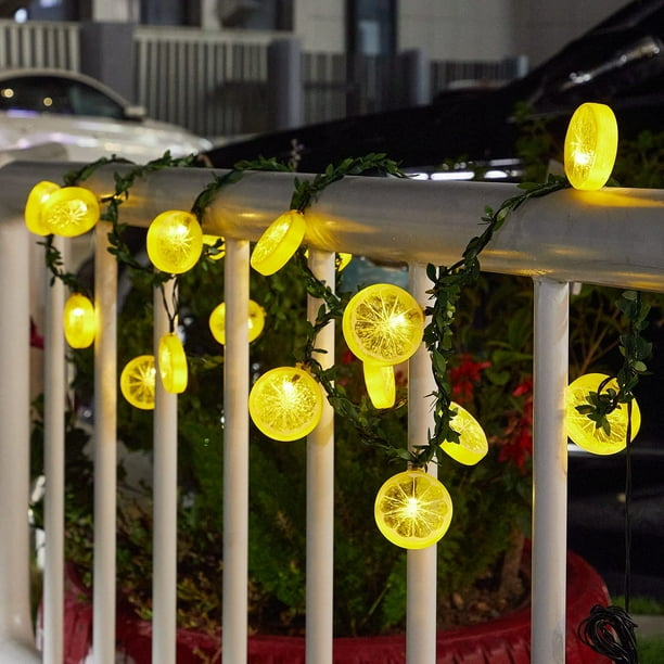Guirnalda de luces de decoración de limón, 10 pies 20 LED, luces de hadas  nocturnas para el hogar/ha Ormromra WMZY-1107