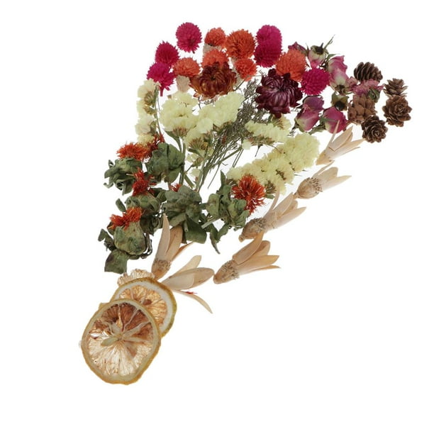 ABOOFAN 1 juego de flores preservadas, paquete de flores secas para  decoración, flores naturales prensadas, plantas, manualidades, accesorios  de
