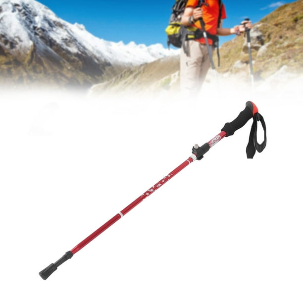 Bastones de trekking bastones de senderismo plegables seguros con soportes  para lodo para montañismo para mochileros para acampar LHCER Otros