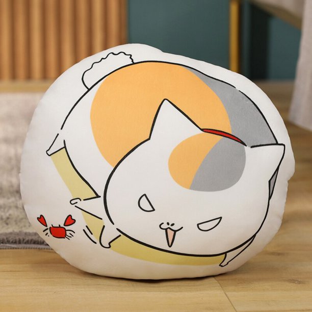 natsume yuujinchou cat name