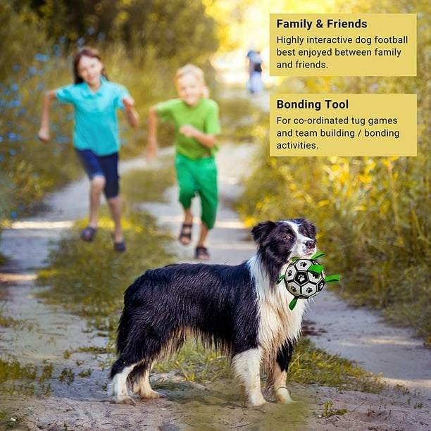 Juguetes interactivos para perros - Family DOG