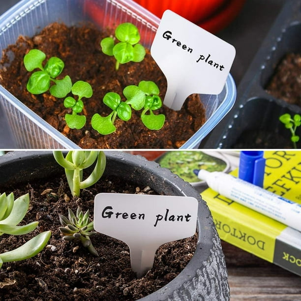 100 étiquettes en plastique pour plantes, étiquette en T réutilisable avec  marqueurs, étiquettes pour plantes de