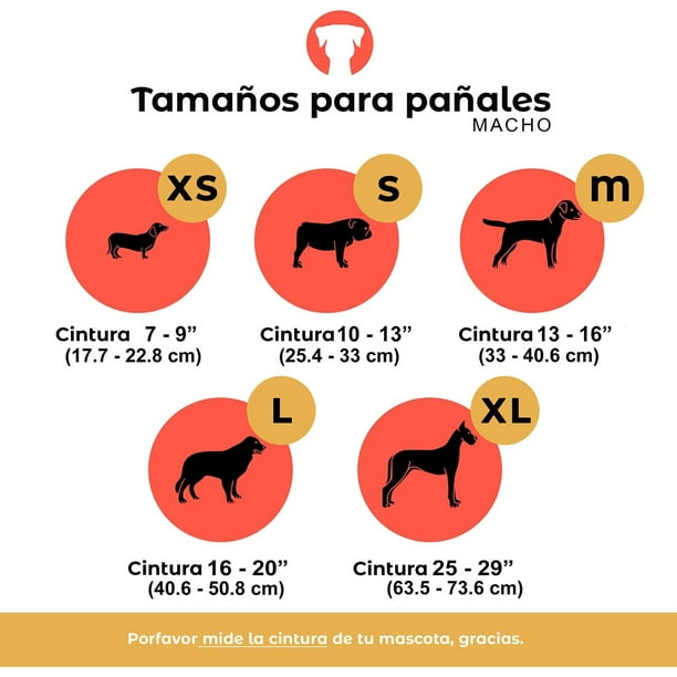 Fancy Pets Pañales para perro macho tamaño mediano 12 piezas