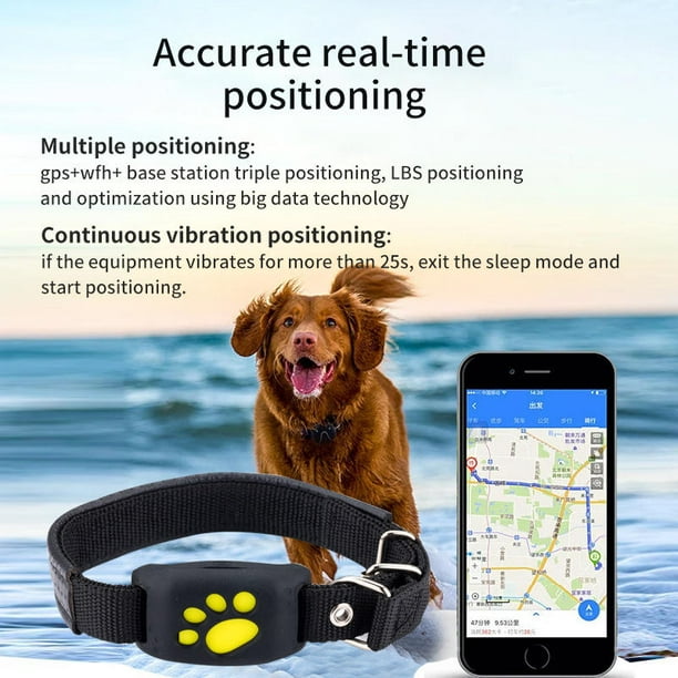MODUS Rastreador GPS para perros, collar inteligente de seguimiento de  mascotas 2 en 1 (solo iOS), ubicación en tiempo real/sin tarifa mensual GPS