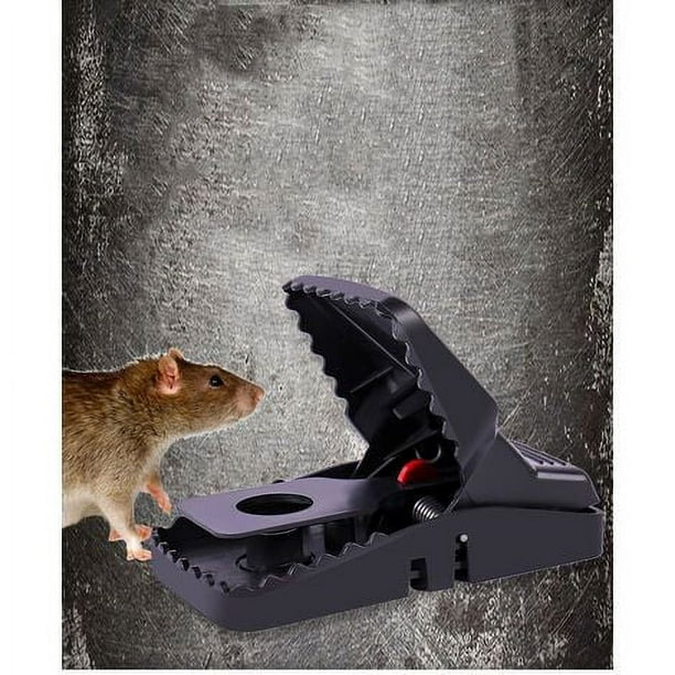 Trampa para ratas con pedal de 5 piezas, trampa para ratones, trampas para  roedores, trampas para ratas mortales y sin humanidad, paquete de 5,  potente y eficaz, reutilizable ER