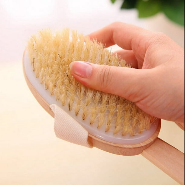  Cepillo de ducha con cerdas naturales – Cepillo de baño largo  de bambú para cepillado húmedo o seco – Mejora la circulación sanguínea y  exfoliante de la piel : Belleza y