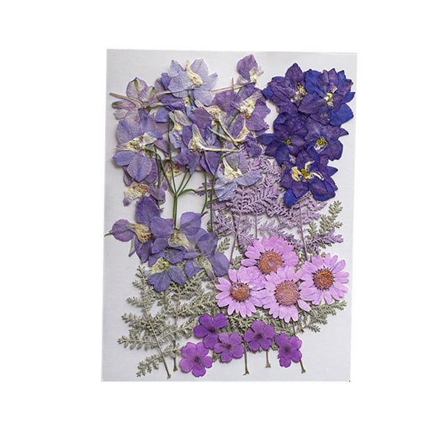 Artesanías florales de flores secas naturales para la fiesta de bodas en  casa Cono de pino