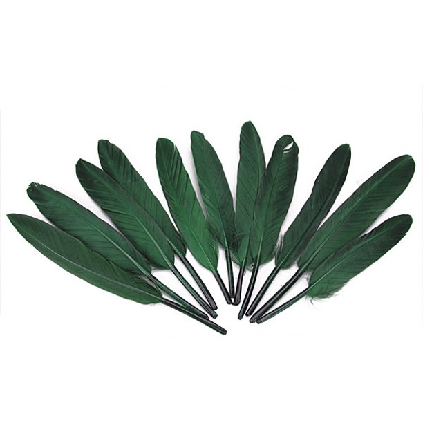 Plumas de ganso Natural para disfraz, plumas blancas de 4-6 pulgadas/10-15  cm para