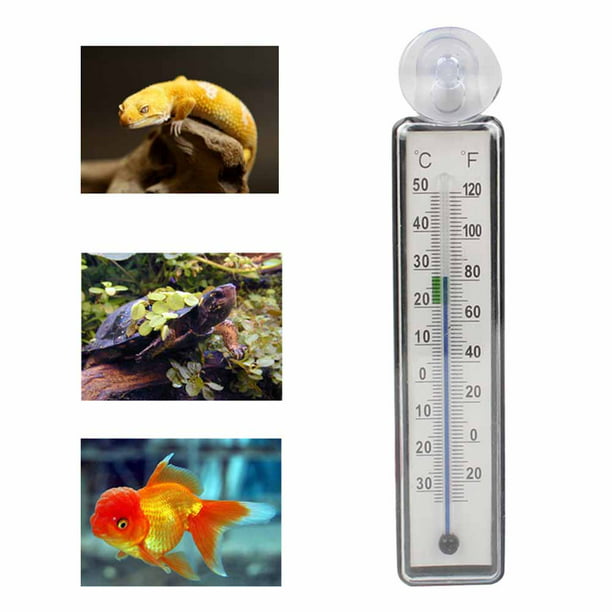 Termometro pequeño acuario - mascotaencasa