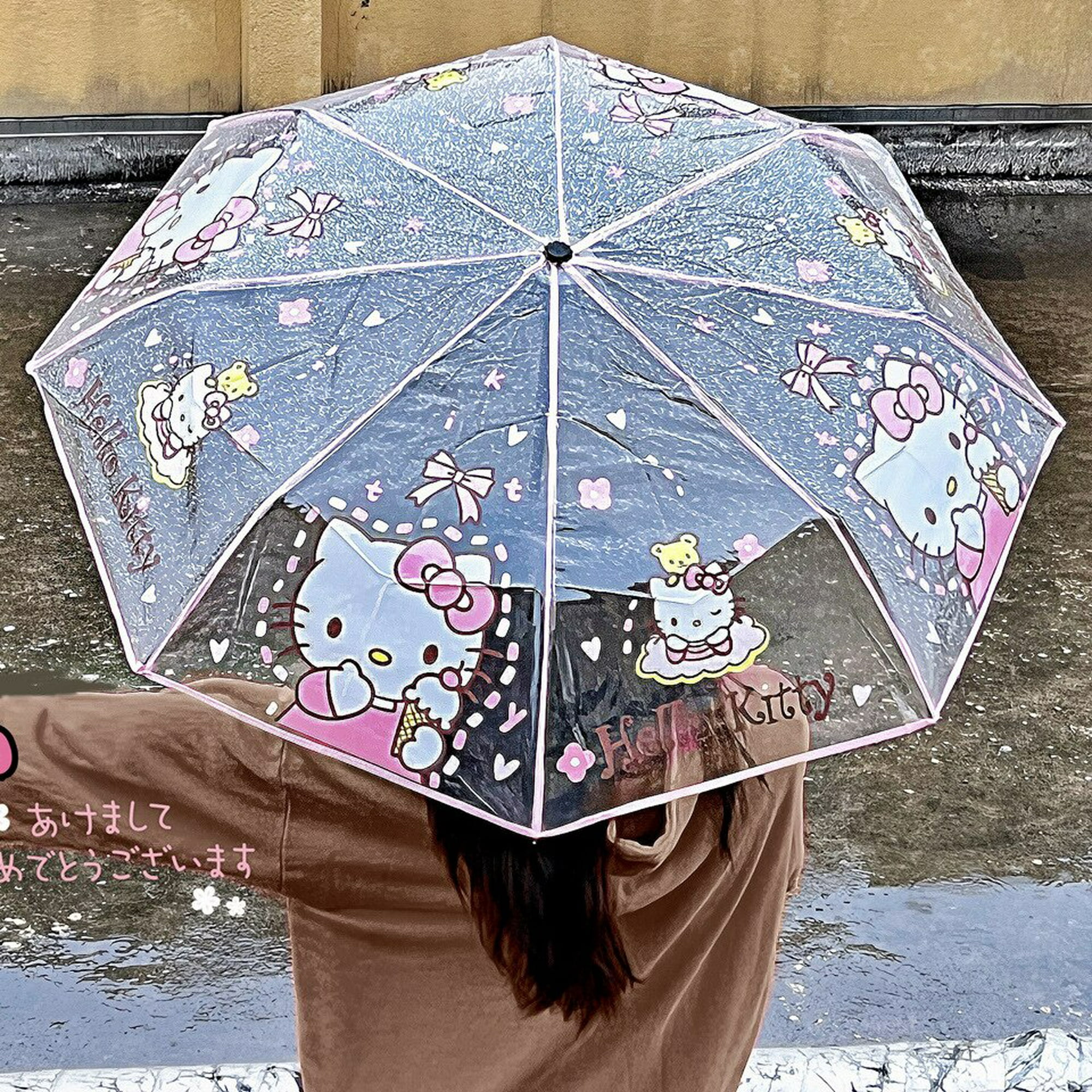Paraguas transparente plegable para niña, paraguas portátil de dibujos  animados Kawaii, color rosa, transparente, engrosamiento, herramientas  japonesas, regalo
