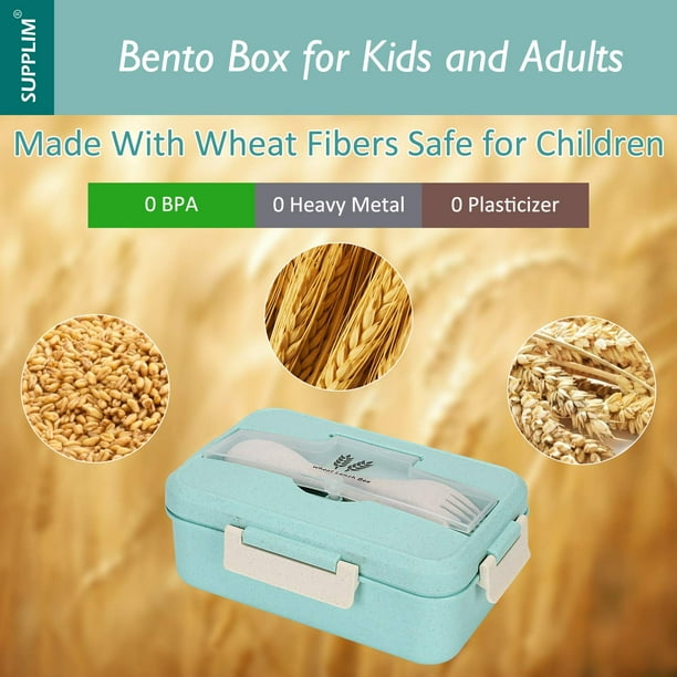 Bento Box - Lonchera para adultos, contenedores Bento para lonchera, caja  Bento