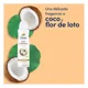thumbnail image 3 of Antitranspirante Dove tono uniforme en aerosol para dama 150 ml, 3 of 5