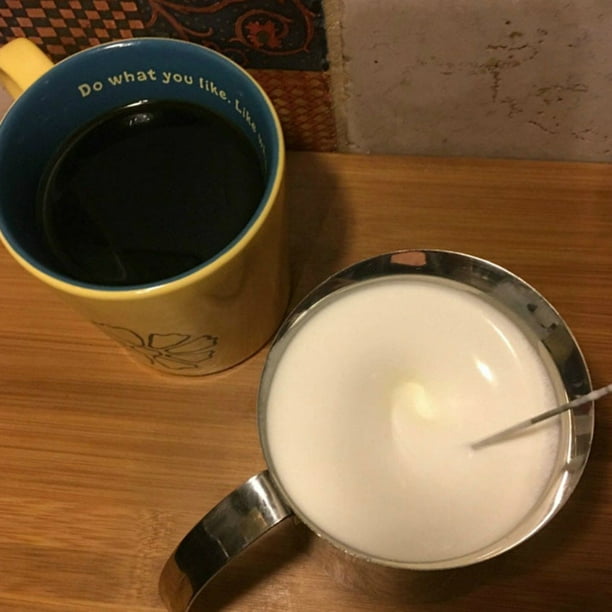 Toystoory Batidor potente de acero inoxidable para hacer espuma de café,  miniespumador de leche eléctrico, mezclador de cocina, espumador de Juegos  de servir café y té