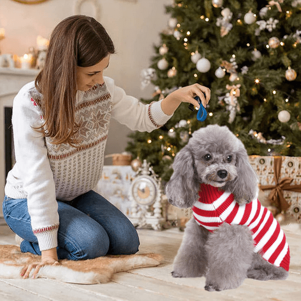 Sueteres navideños cuidado con el perro hot sale