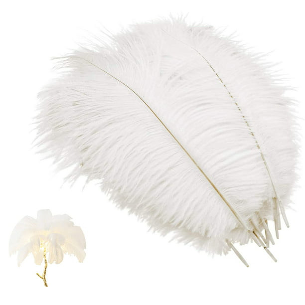 Zamihalaa - 10 plumas de avestruz blancas naturales artificiales para  decoración de 5.9-27.6 in, nueces decorativas para bodas, fiestas
