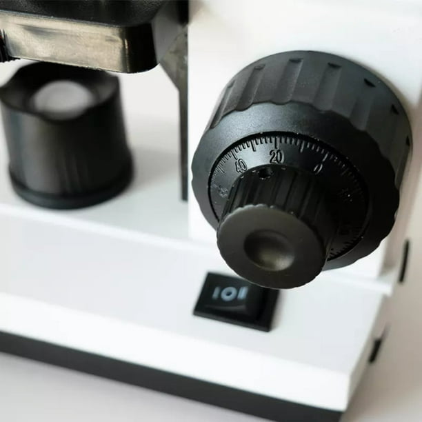 Portaobjetos y cámaras para microscopio