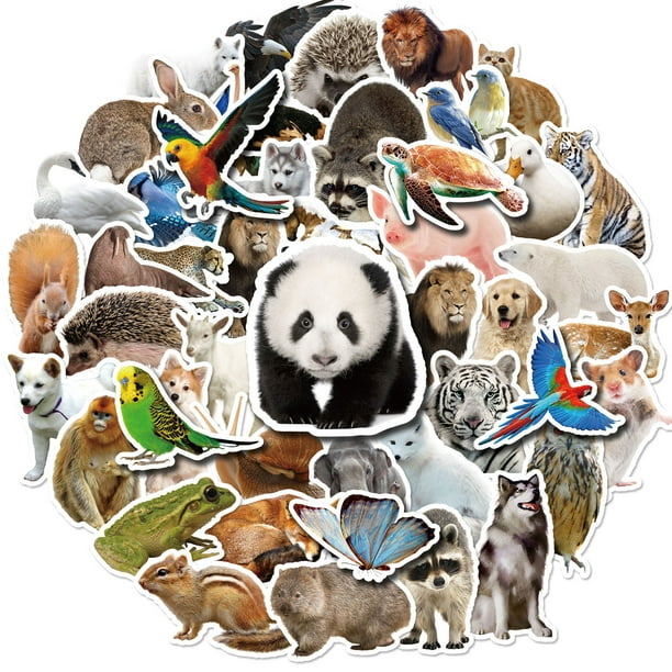 50 pegatinas de animales para niños, pegatinas de animales con foto real,  impermeables, portátiles con bolsa sellada